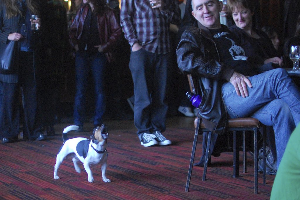photo20.jpg