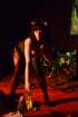 photo377_small.jpg