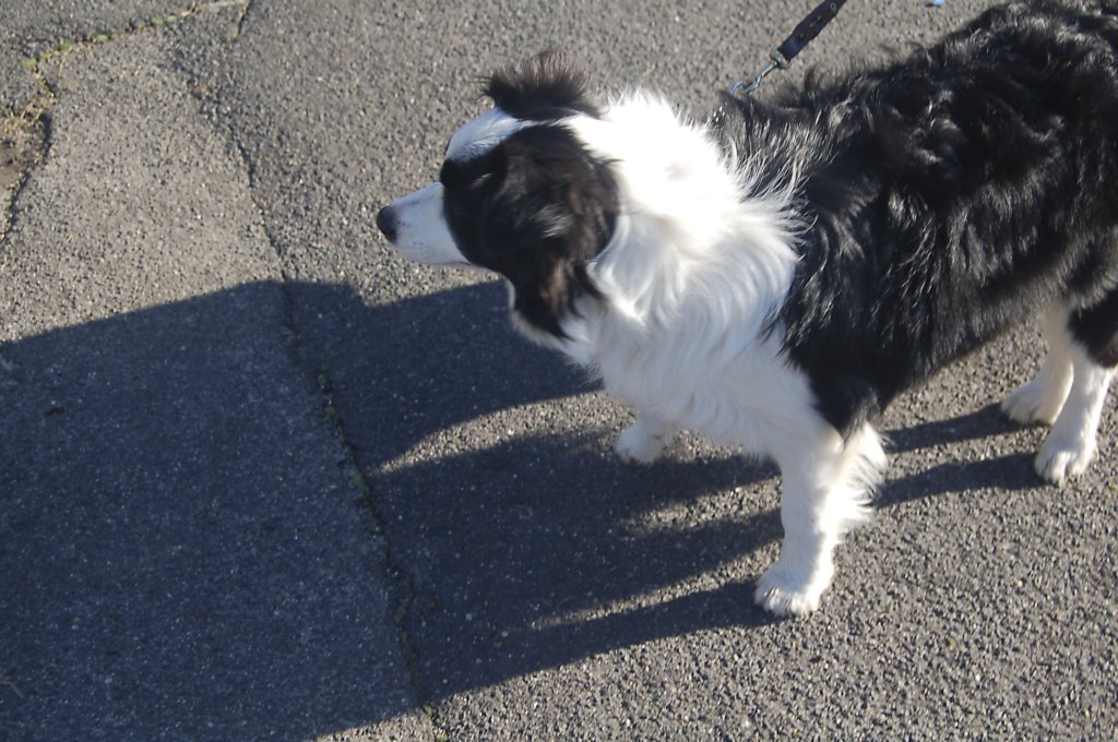photo4.jpg