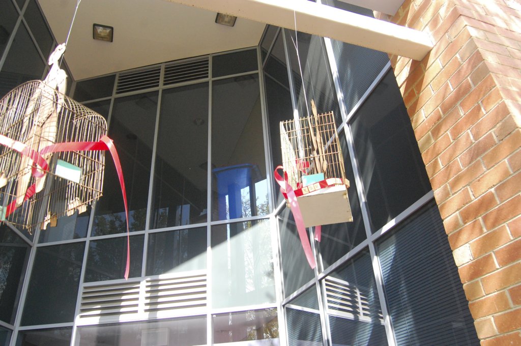 photo24.jpg