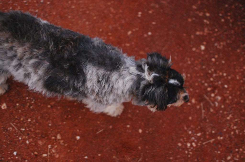photo5.jpg
