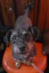 photo10_small.jpg