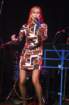 photo39_small.jpg